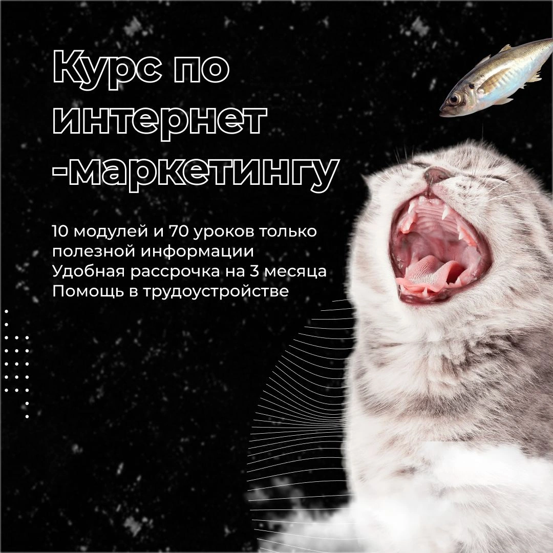 Компания inMarketing запустила авторский практический курс по digital-маркетингу на платформе futurum.uz